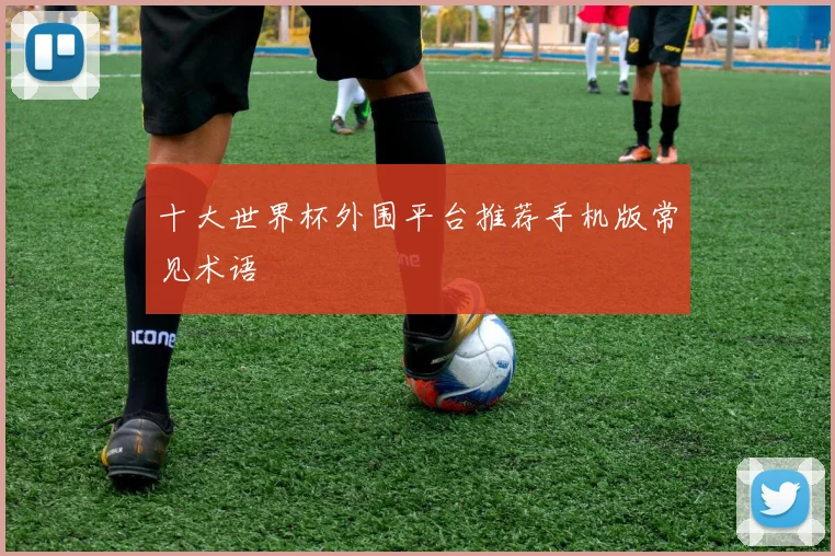 十大世界杯外围平台推荐手机版常见术语