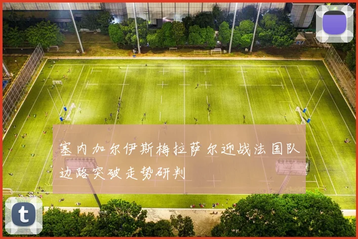 塞内加尔伊斯梅拉萨尔迎战法国队边路突破走势研判
