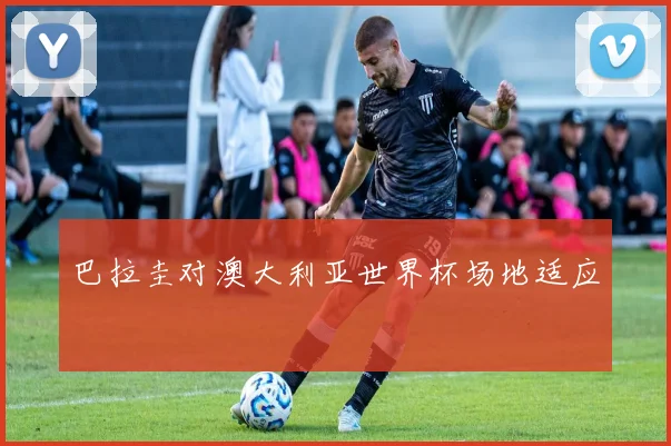 巴拉圭对澳大利亚世界杯场地适应