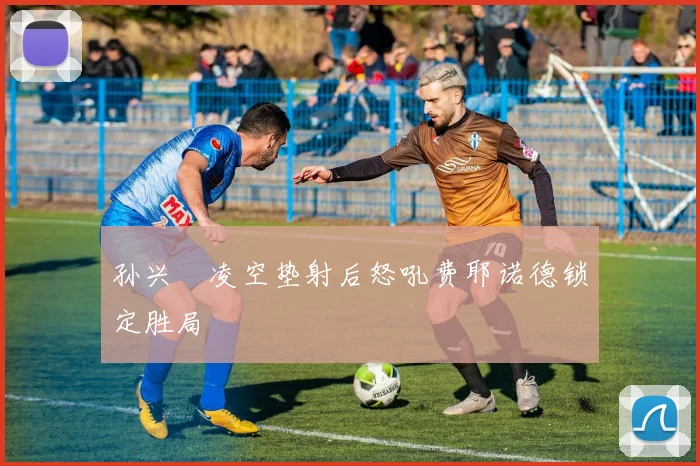 孙兴慜凌空垫射后怒吼费耶诺德锁定胜局