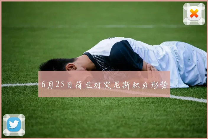 6月25日荷兰对突尼斯积分形势