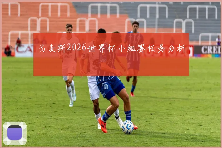 戈麦斯2026世界杯小组赛任务分析
