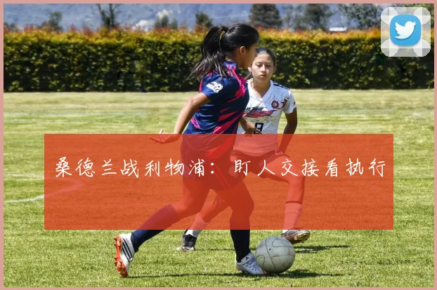 桑德兰战利物浦：盯人交接看执行